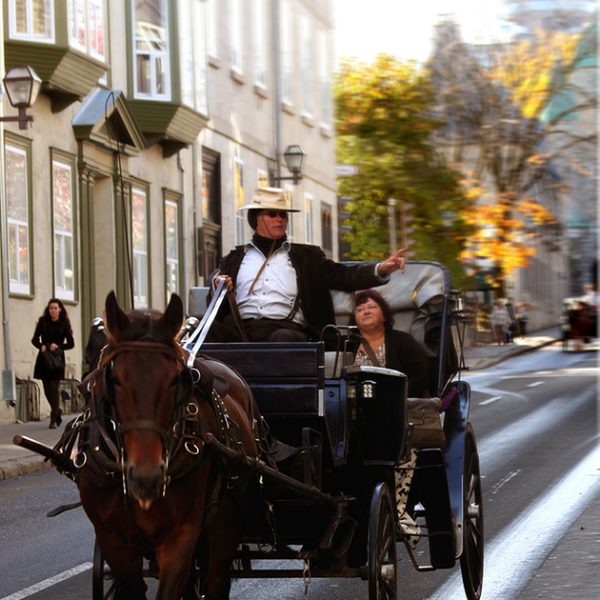 img 7718 1