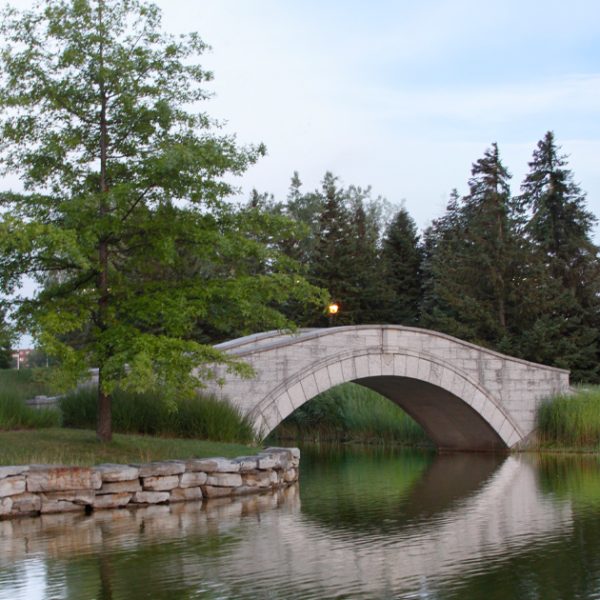 bridge